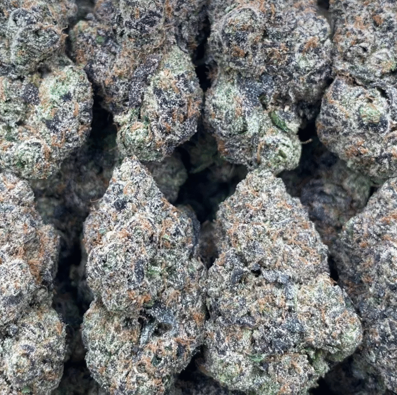 herbalbio indoor cannabis product