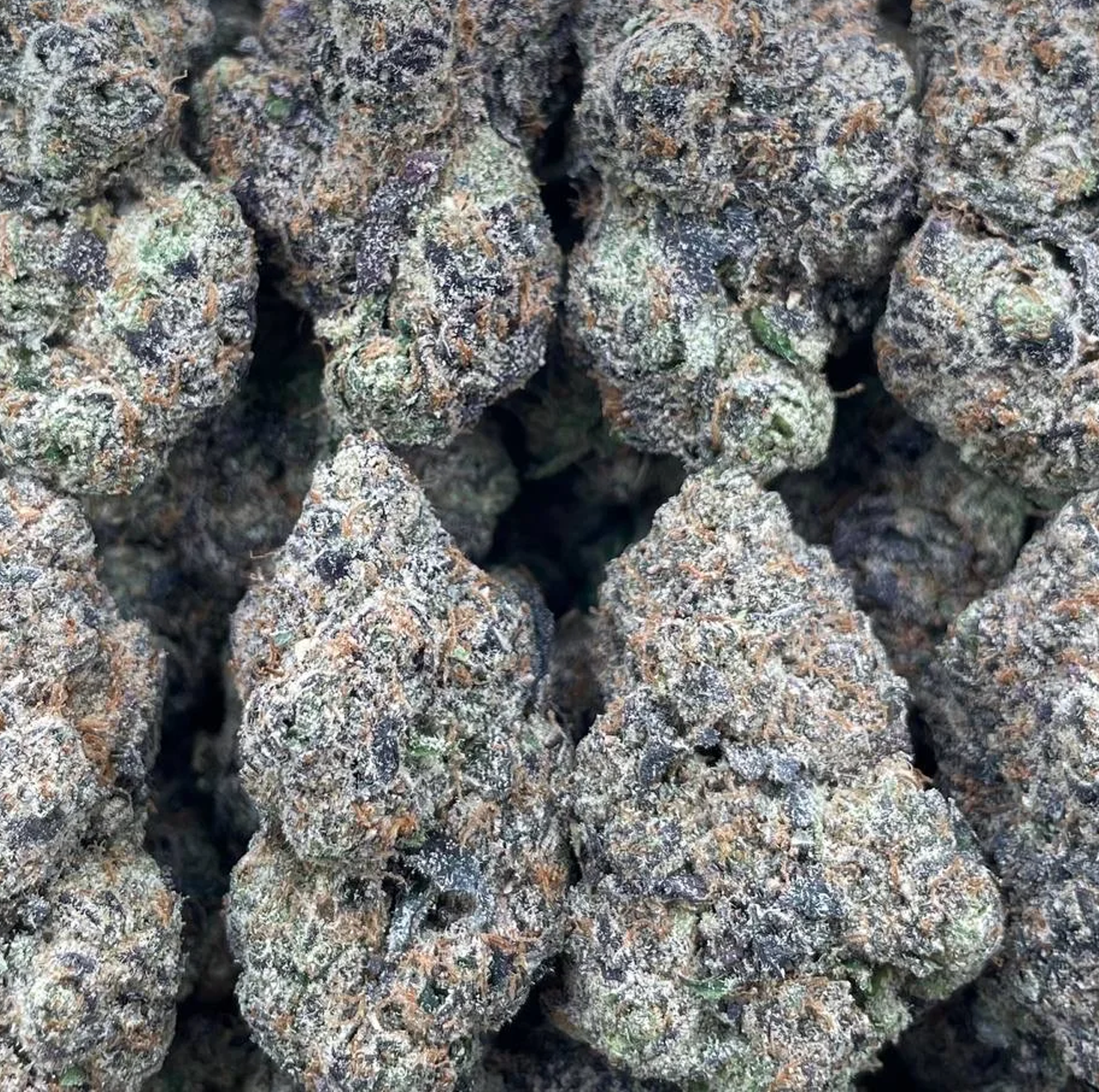 herbalbio indoor cannabis product