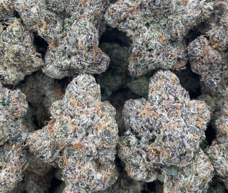 herbalbio exotic cannabis product