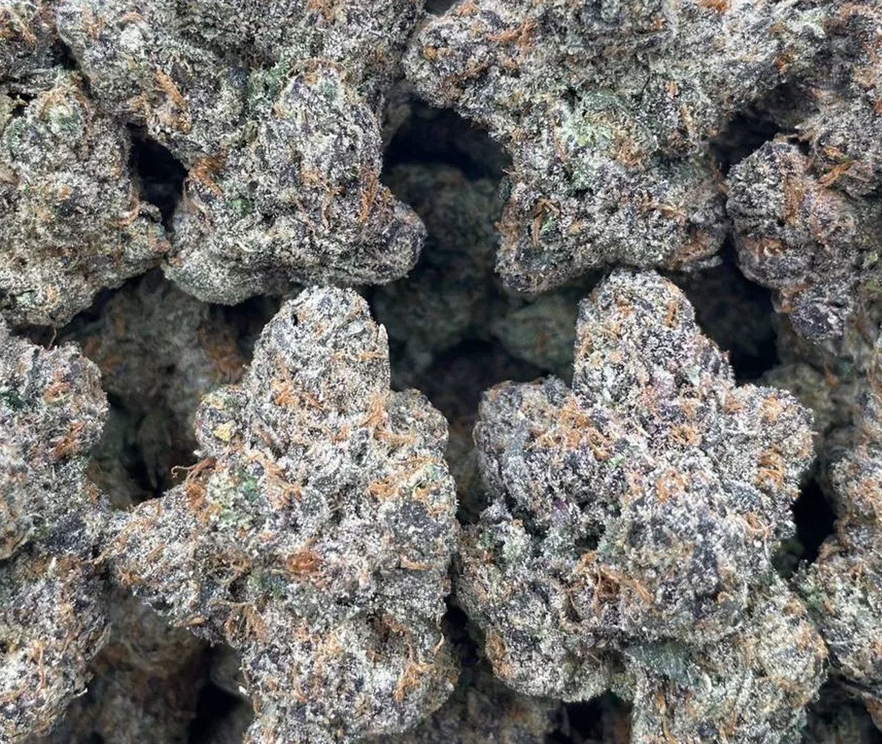 herbalbio exotic cannabis product